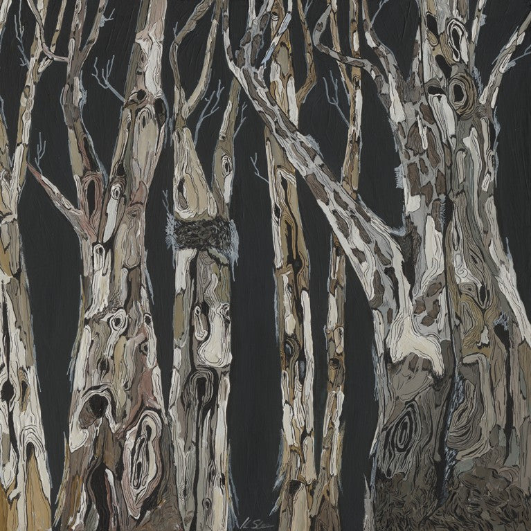 Oversized Masculine Square Canvas Wall Art of Trees & Landscape - Birch Trees in Dark Charcoal Gray