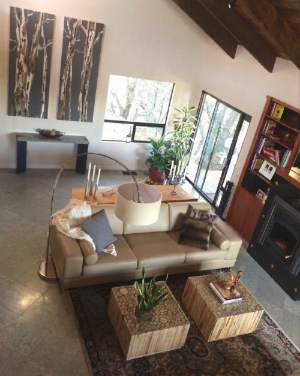 Living room with beige sofa, coffee table, and 2 huge paintings of tree art.