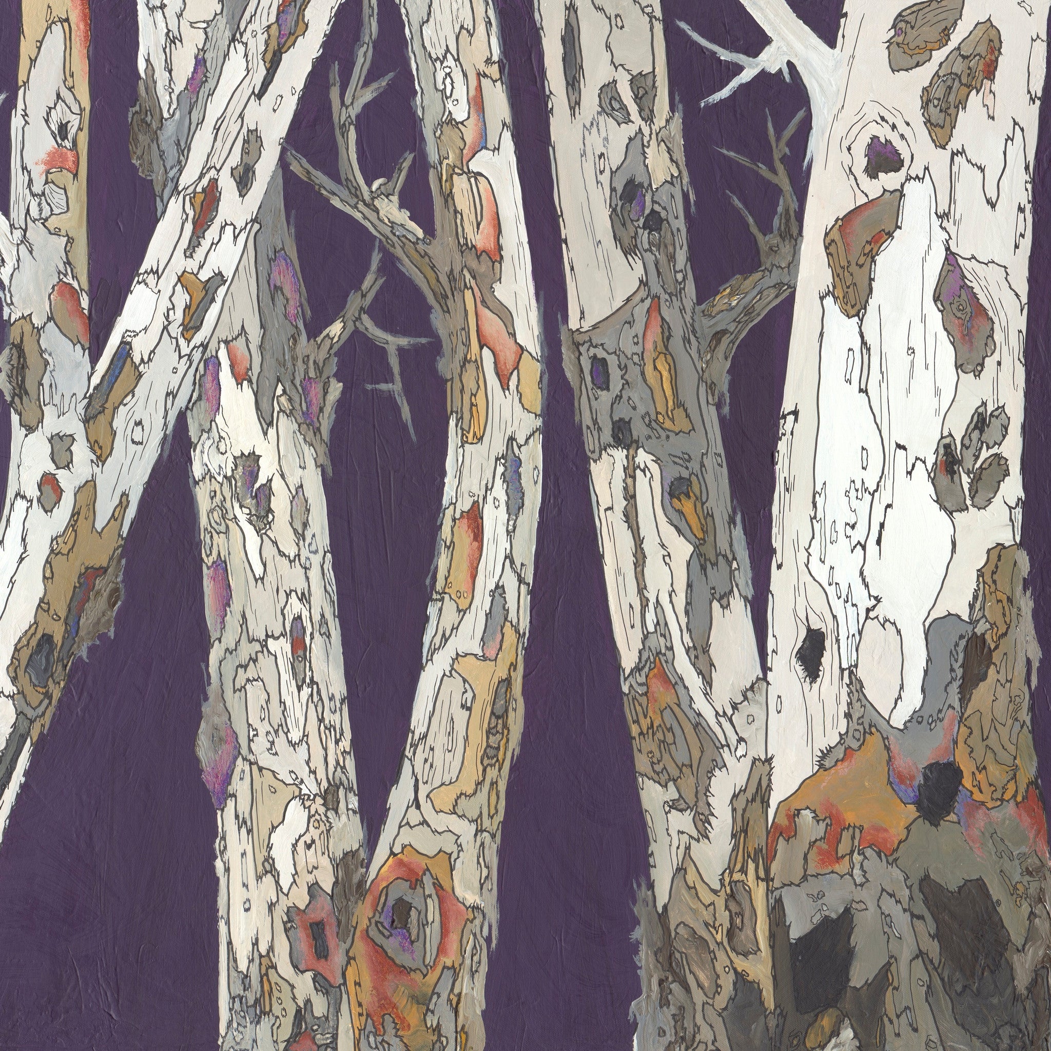 An Oversized Square Canvas Wall Art with white birch trees on deep purple background.